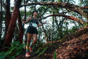 BIB: 
                            <button type="button" onclick="openModal(26344597)" class="btn btn-primary btn-sm float-right btn-popup" data-toggle="modal" data-target=".modal-high-quality">
                        <i class="fas fa-shopping-cart"></i> Add to Cart
                    </button>
                                            <button type="button" onclick="isThisMe(26344597, true)" class="btn btn-success btn-sm float-right btn-popup btn-isme hidden" data-toggle="tooltip" data-placement="bottom" title="นี่คือรูปของคุณใช่ไหม คลิกที่นี่เพื่อเอาเข้าอัลบั้ม">
                        <i class="fas fa-plus"></i> Add to album
                    </button>
                    <button type="button" onclick="isThisMe(26344597, false)" class="btn btn-warning btn-sm float-right btn-popup btn-isnotme hidden">
                        <i class="fas fa-ban"></i> Remove from album
                    </button>